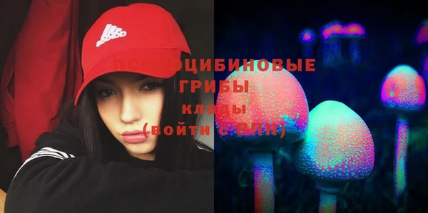 метадон Абаза