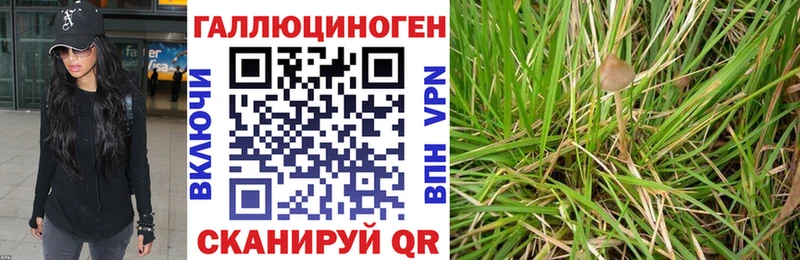 Псилоцибиновые грибы ЛСД  Холм 